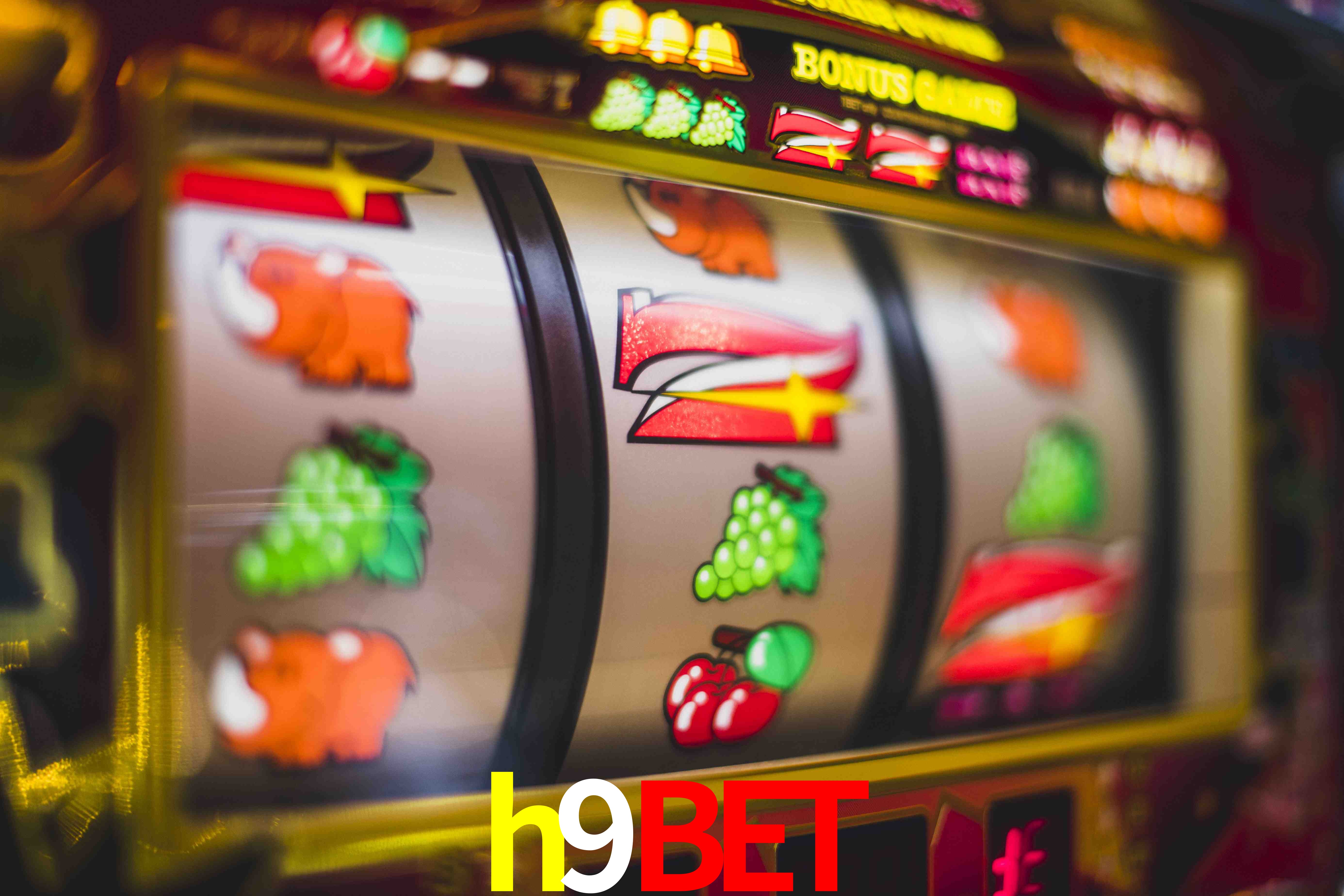Sports Statistics h9bet